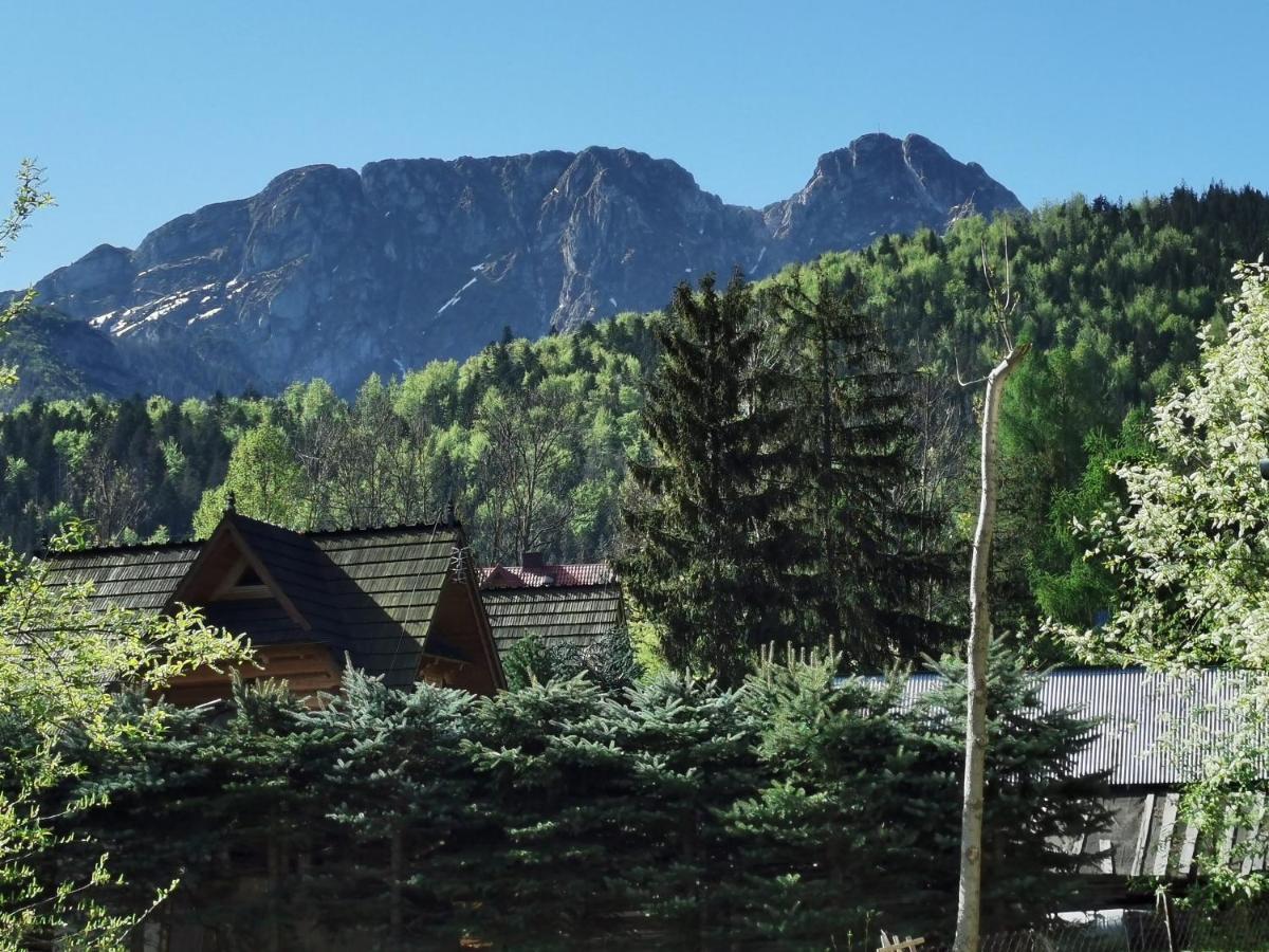 Willa Senator Zakopane Eksteriør bilde